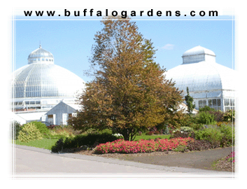 botanical gardens dome